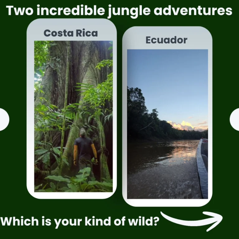 Instagram post from wild_globe_expeditions. This post is in position 0.