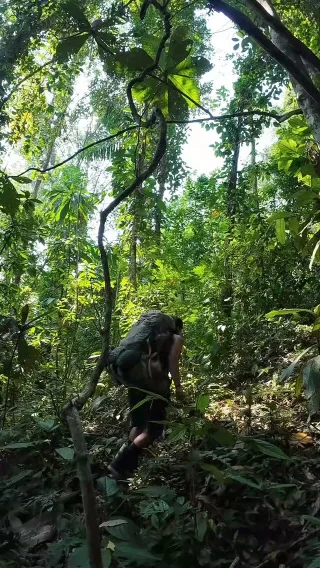 Instagram post from wild_globe_expeditions. This post is in position 7.