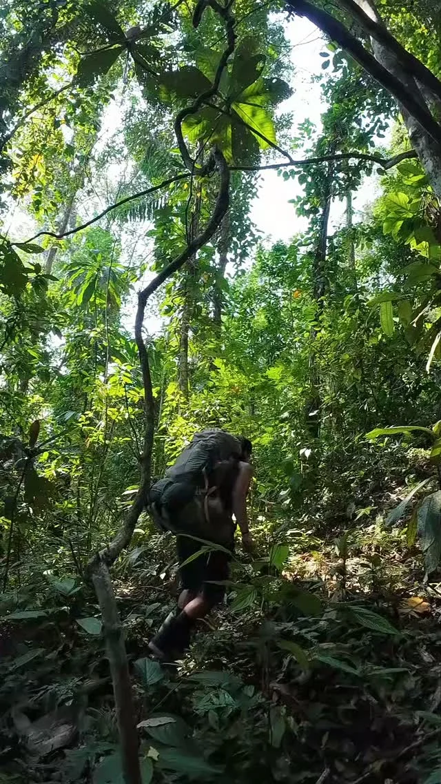 Instagram post from wild_globe_expeditions. This post is in position 6.