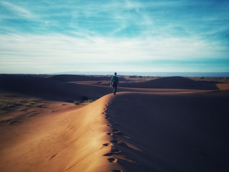 Instagram post from wild_globe_expeditions. This post is in position 11.