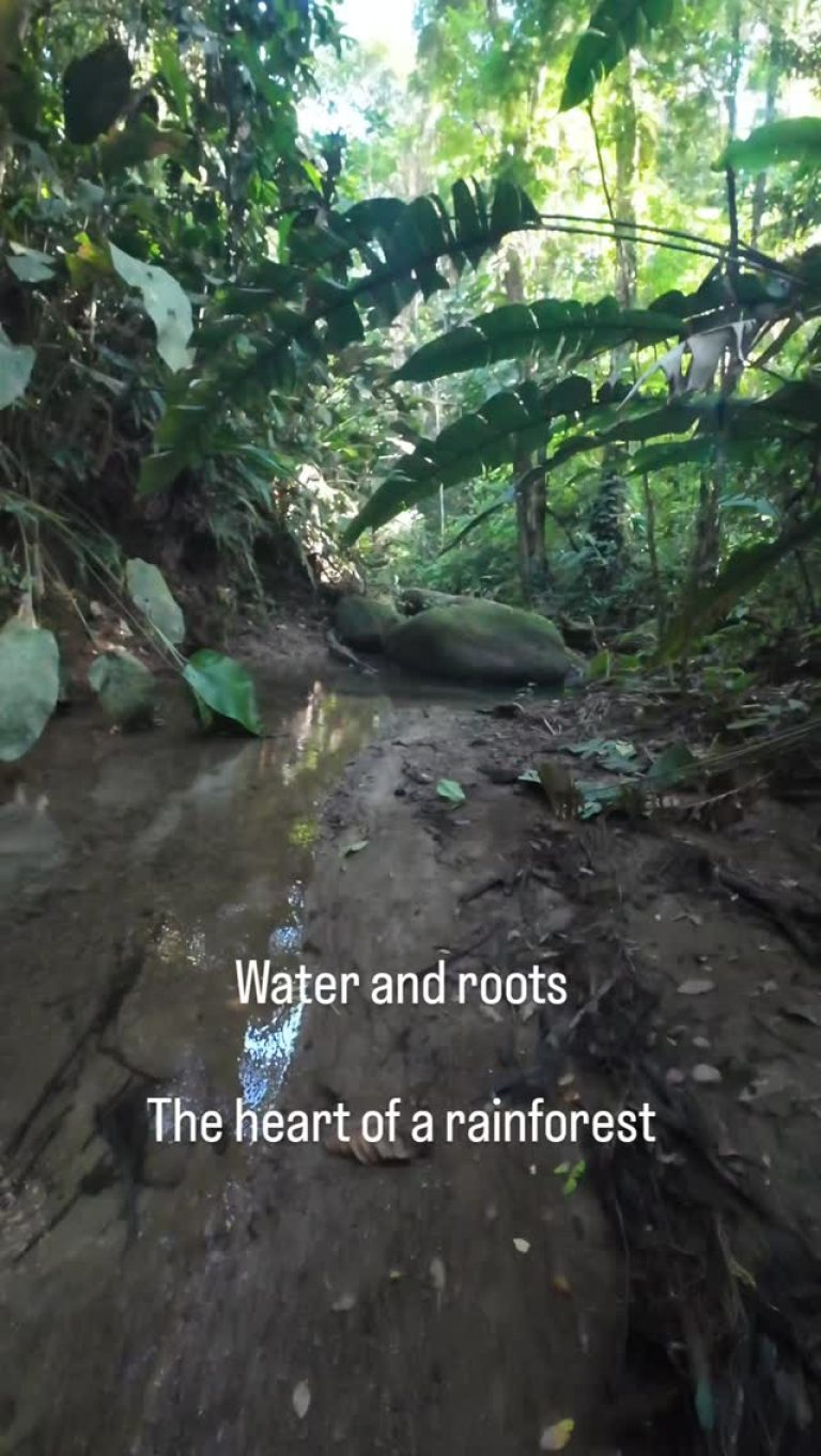 Instagram post from wild_globe_expeditions. This post is in position 16.