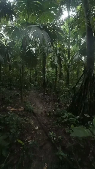 Instagram post from wild_globe_expeditions. This post is in position 10.