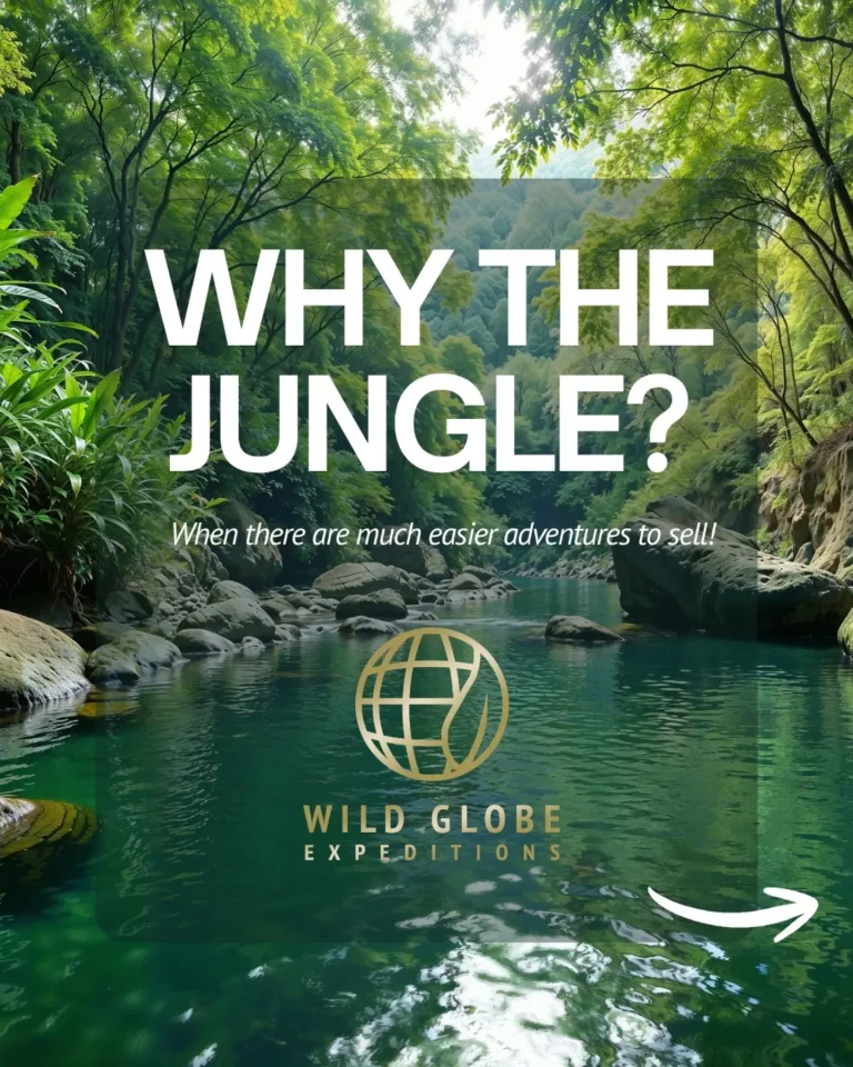 Instagram post from wild_globe_expeditions. This post is in position 0.