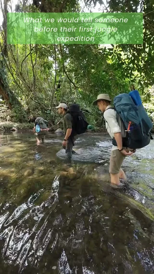Instagram post from wild_globe_expeditions. This post is in position 0.