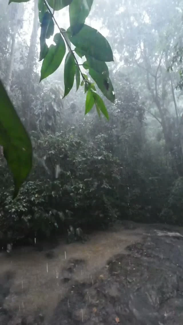 Instagram post from wild_globe_expeditions. This post is in position 0.