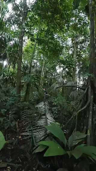 Instagram post from wild_globe_expeditions. This post is in position 1.