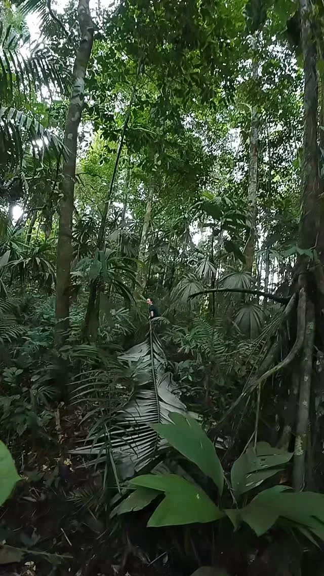 Instagram post from wild_globe_expeditions. This post is in position 0.