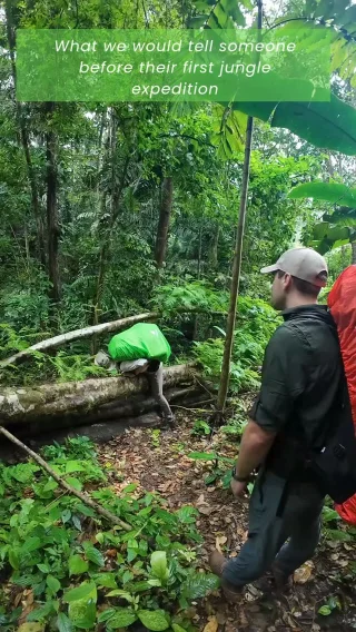 Instagram post from wild_globe_expeditions. This post is in position 1.