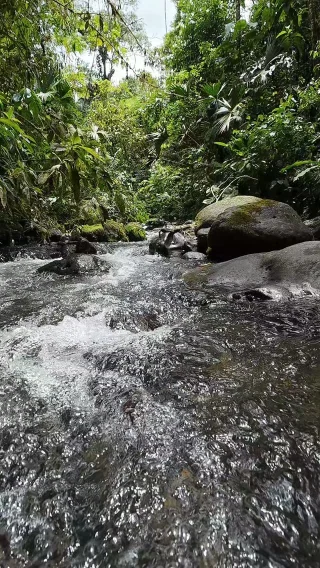 Instagram post from wild_globe_expeditions. This post is in position 1.