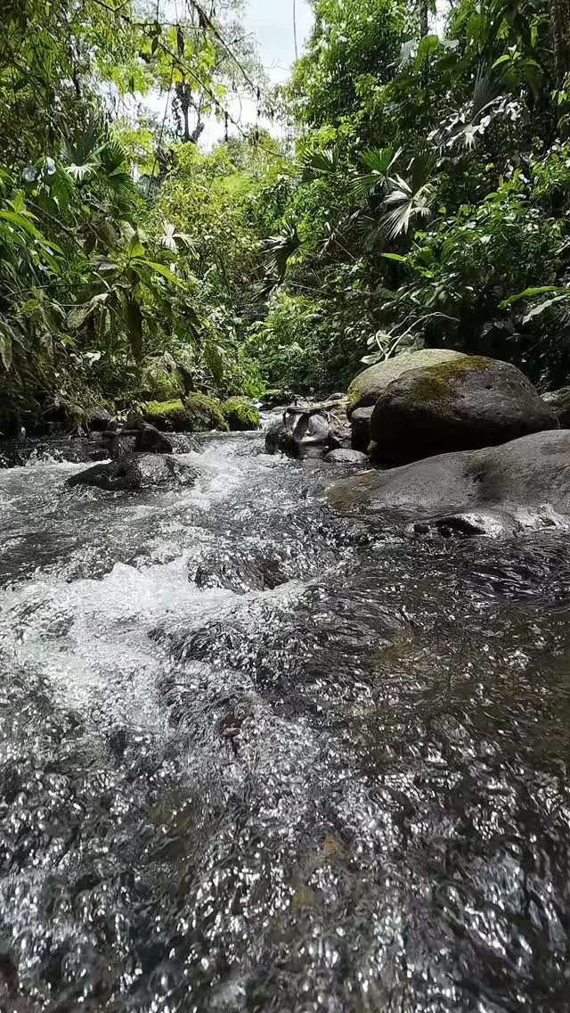 Instagram post from wild_globe_expeditions. This post is in position 0.