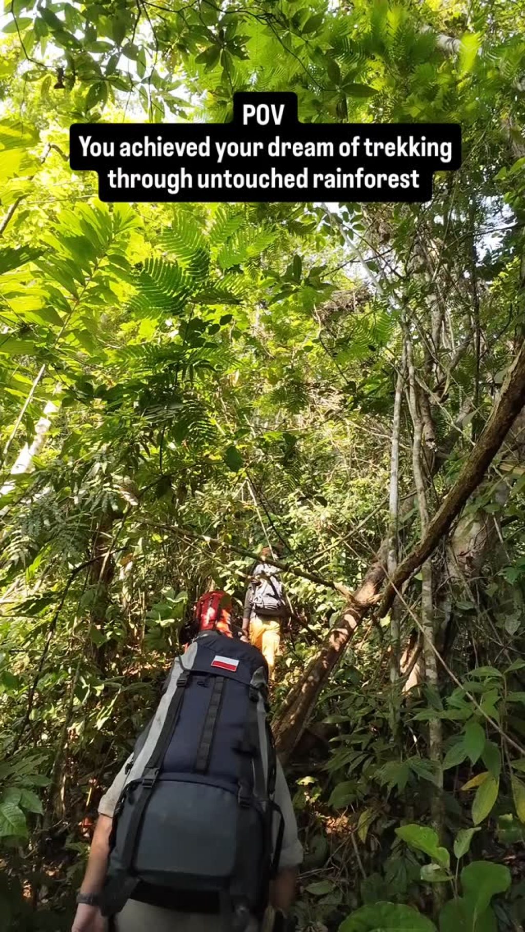 Instagram post from wild_globe_expeditions. This post is in position 18.