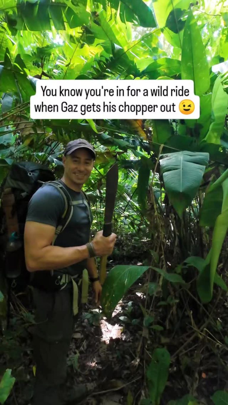 Instagram post from wild_globe_expeditions. This post is in position 14.