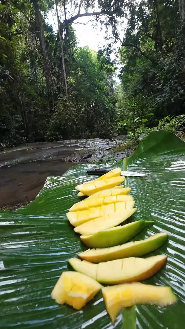 Instagram post from wild_globe_expeditions. This post is in position 10.