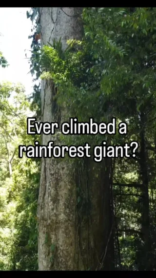 Instagram post from wild_globe_expeditions. This post is in position 2.
