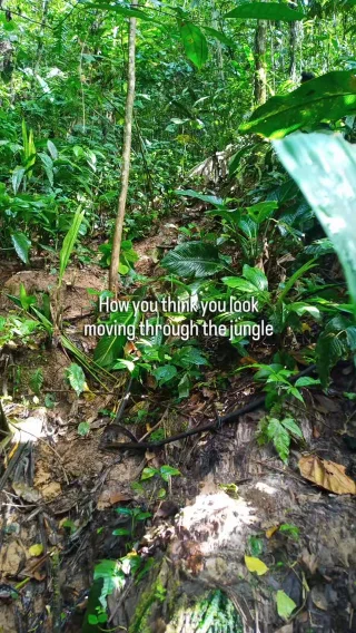 Instagram post from wild_globe_expeditions. This post is in position 1.