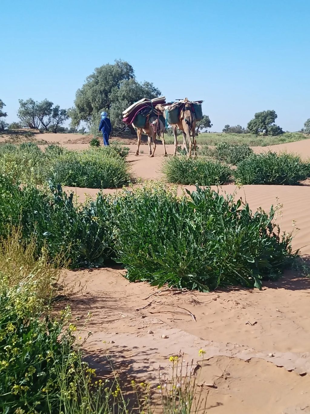 Instagram post from wild_globe_expeditions. This post is in position 3.