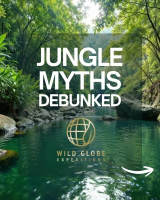 Instagram post from wild_globe_expeditions. This post is in position 1.
