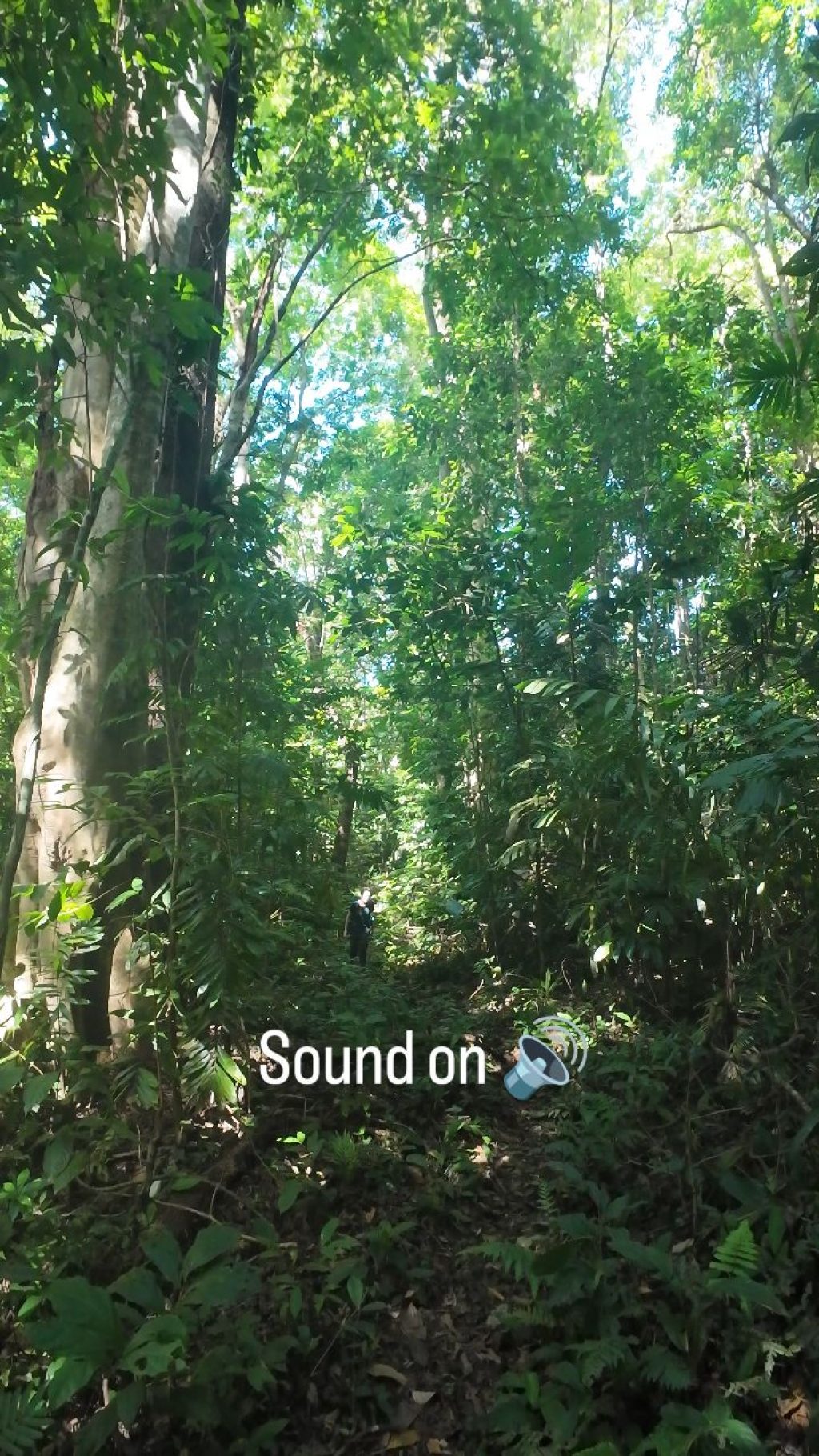 Instagram post from wild_globe_expeditions. This post is in position 7.