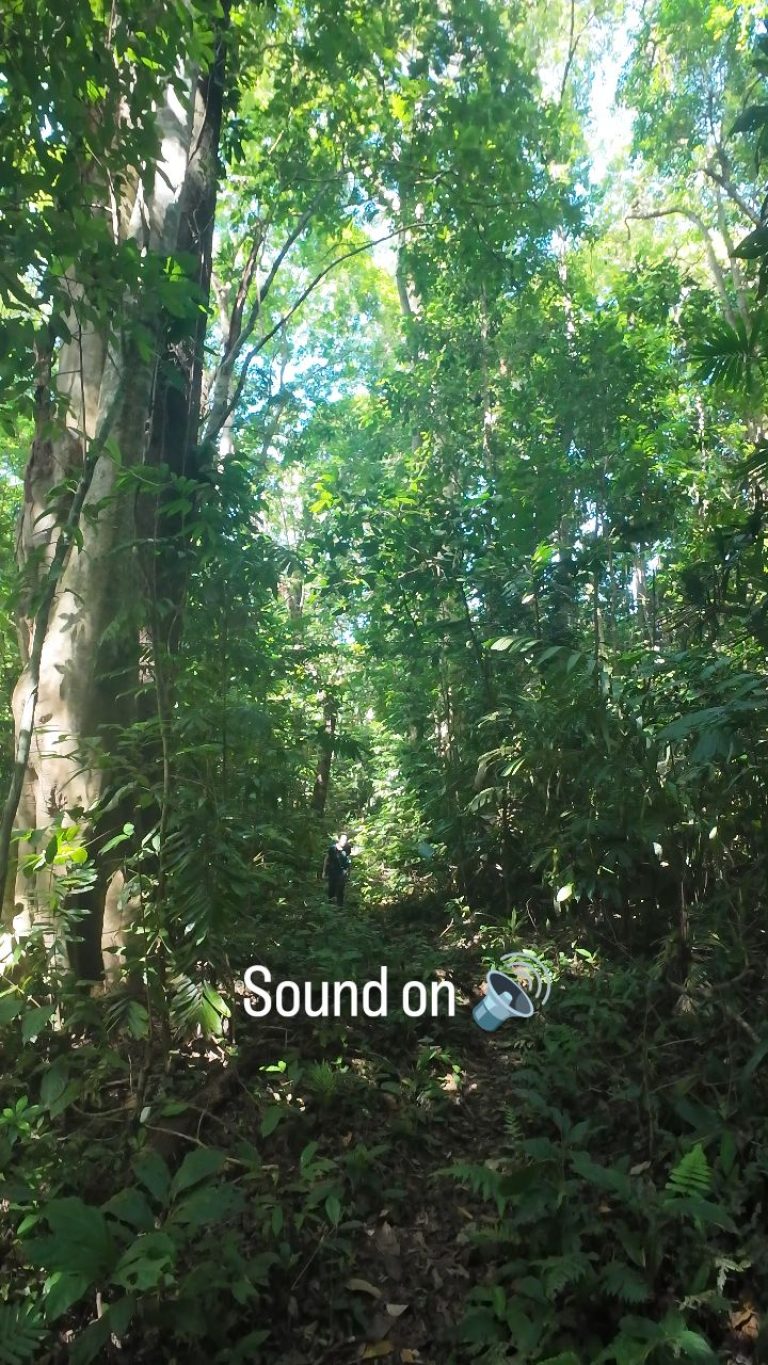 Instagram post from wild_globe_expeditions. This post is in position 8.