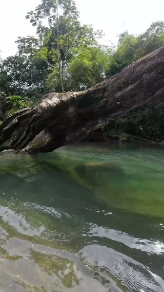 Instagram post from wild_globe_expeditions. This post is in position 1.