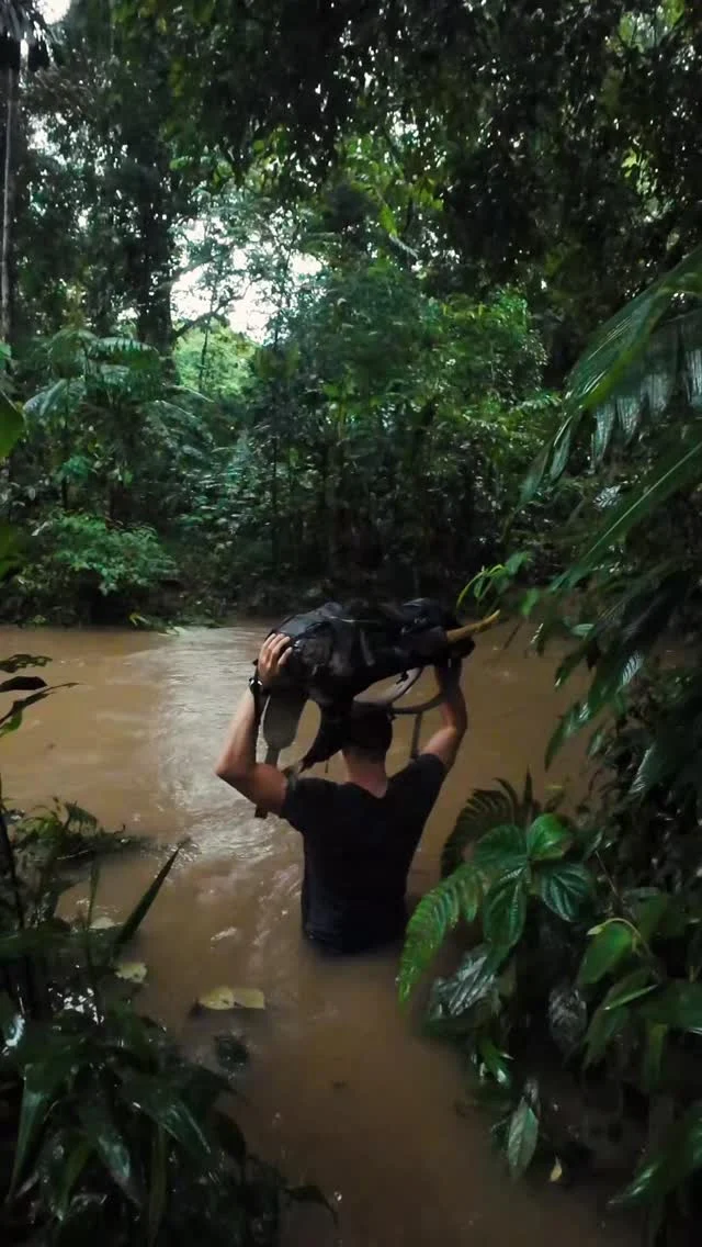 Instagram post from wild_globe_expeditions. This post is in position 0.