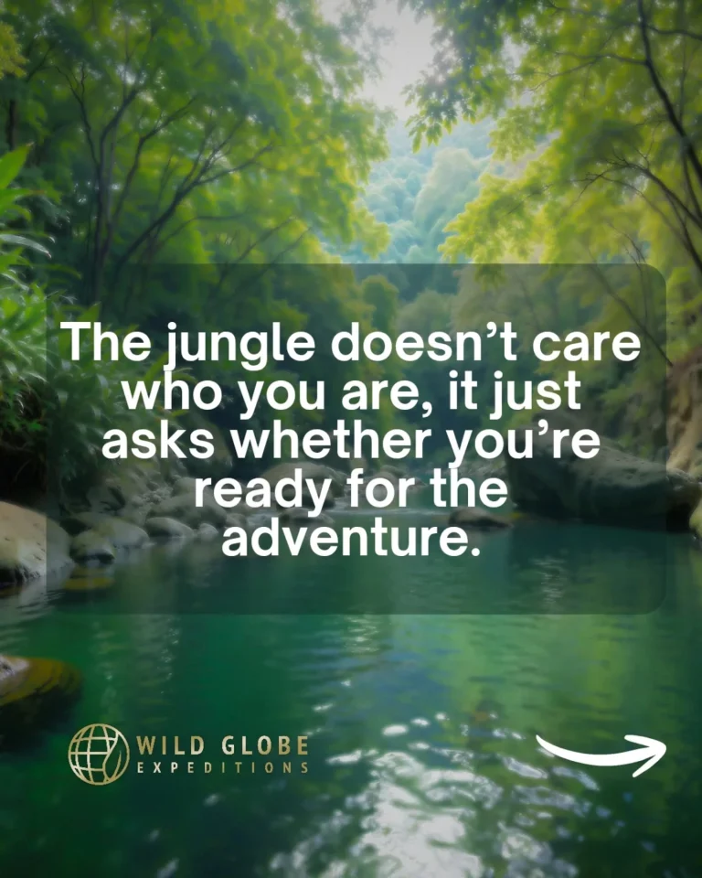 Instagram post from wild_globe_expeditions. This post is in position 6.