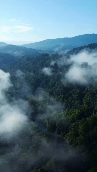 Instagram post from wild_globe_expeditions. This post is in position 1.