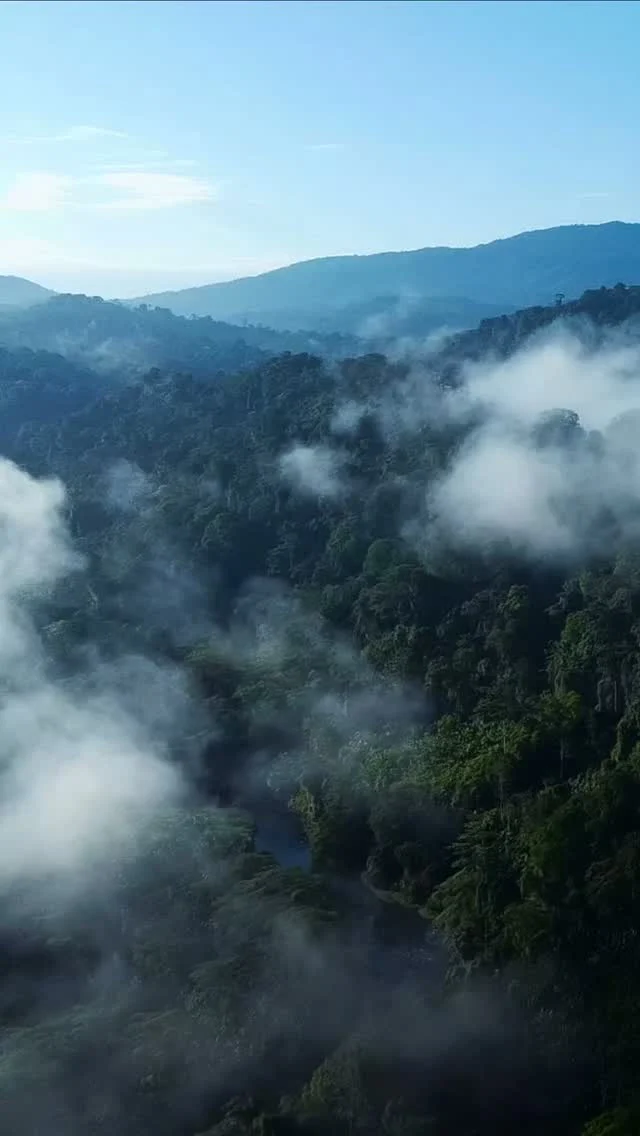 Instagram post from wild_globe_expeditions. This post is in position 0.