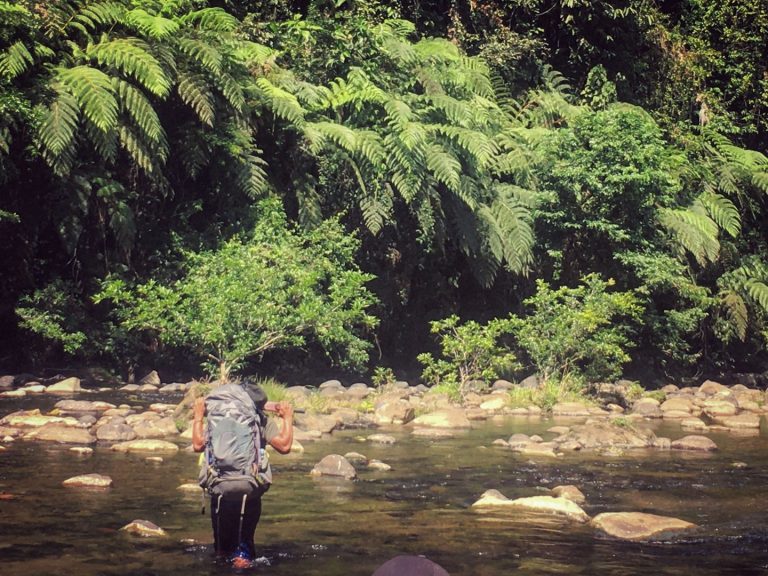 Instagram post from wild_globe_expeditions. This post is in position 13.