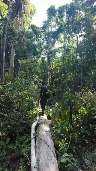 Instagram post from wild_globe_expeditions. This post is in position 1.