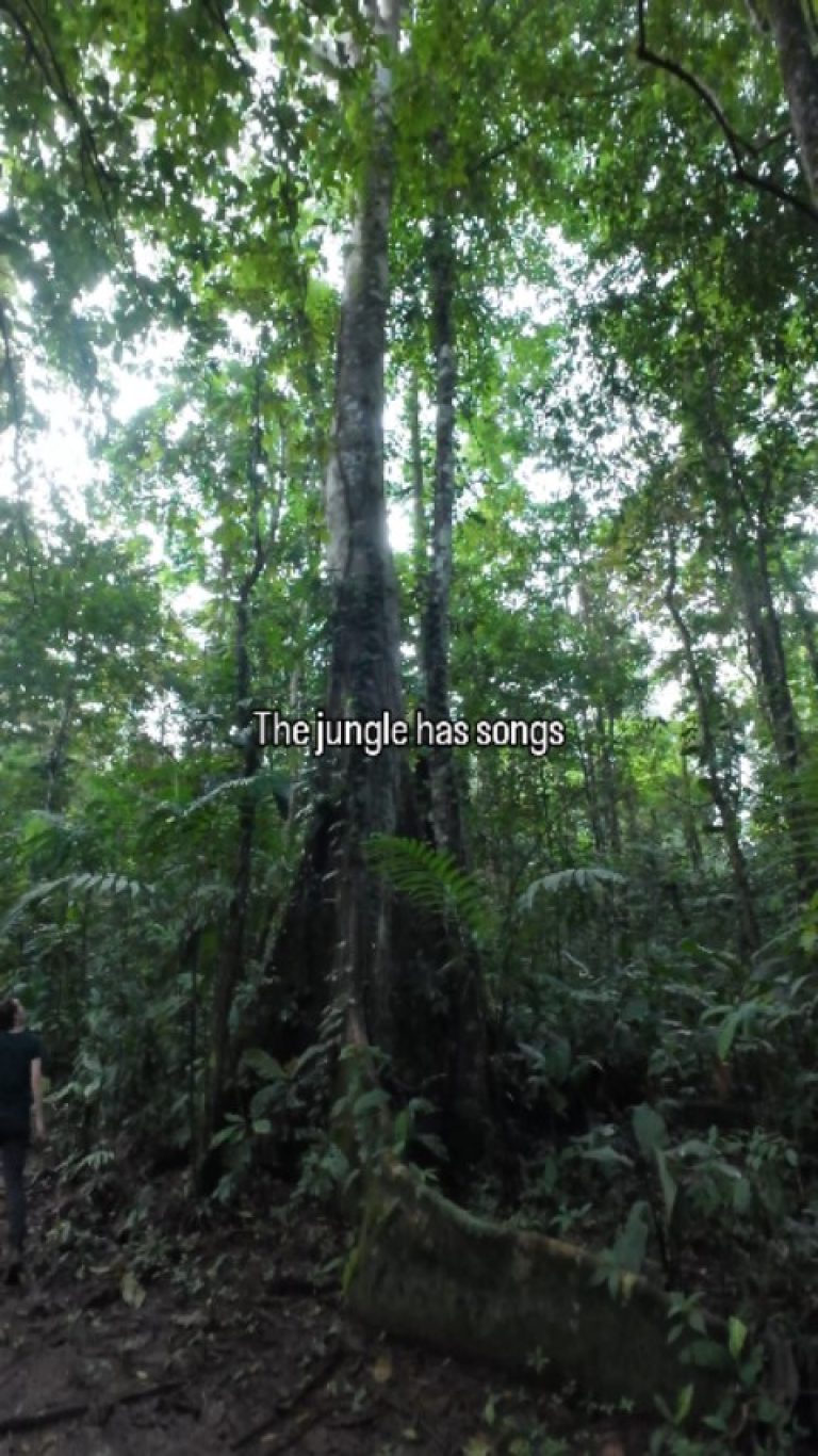 Instagram post from wild_globe_expeditions. This post is in position 1.