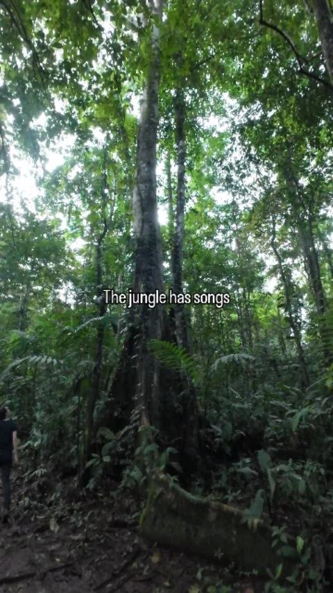 Instagram post from wild_globe_expeditions. This post is in position 9.