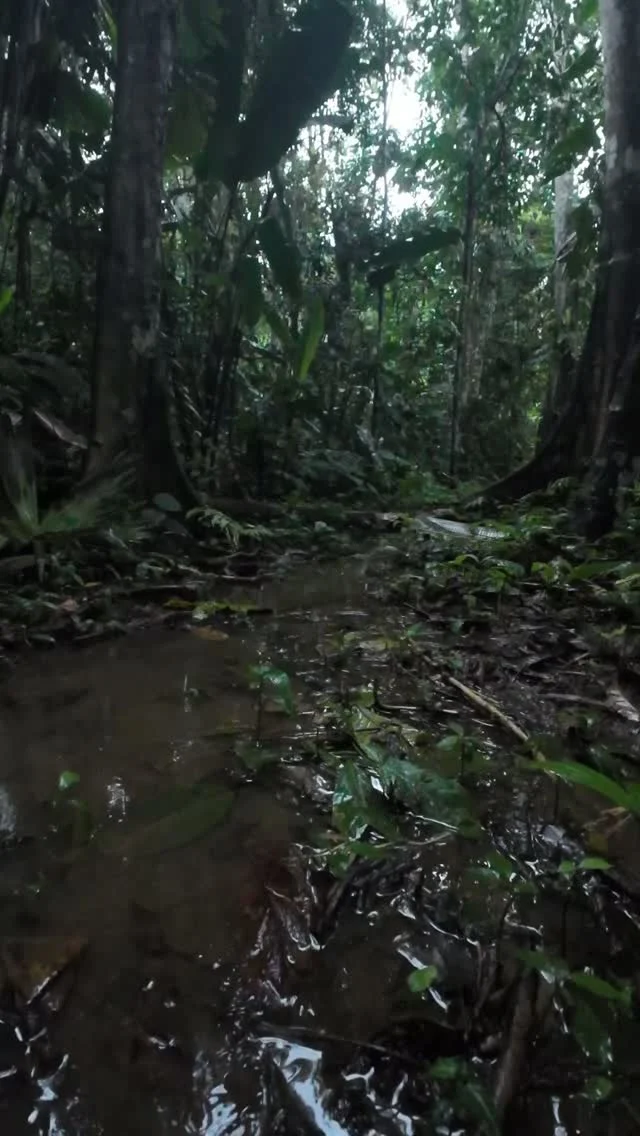 Instagram post from wild_globe_expeditions. This post is in position 0.