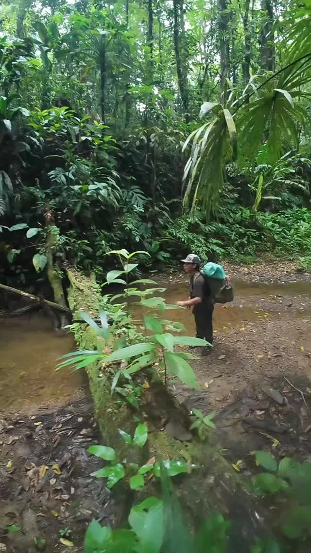 Instagram post from wild_globe_expeditions. This post is in position 0.