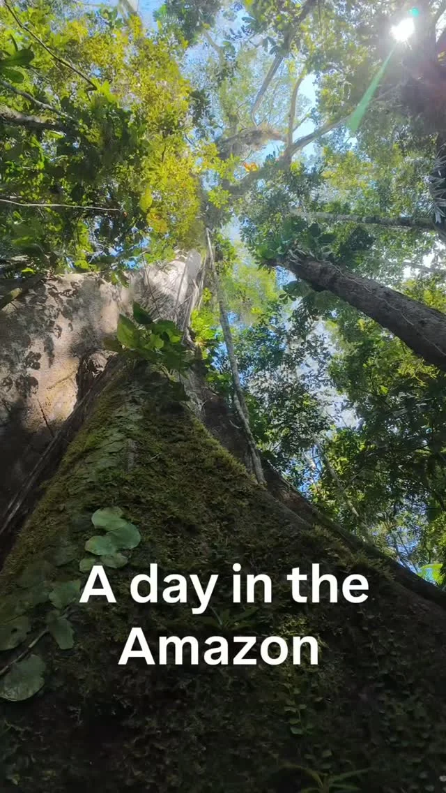 Instagram post from wild_globe_expeditions. This post is in position 0.