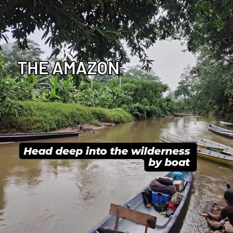 Instagram post from wild_globe_expeditions. This post is in position 2.