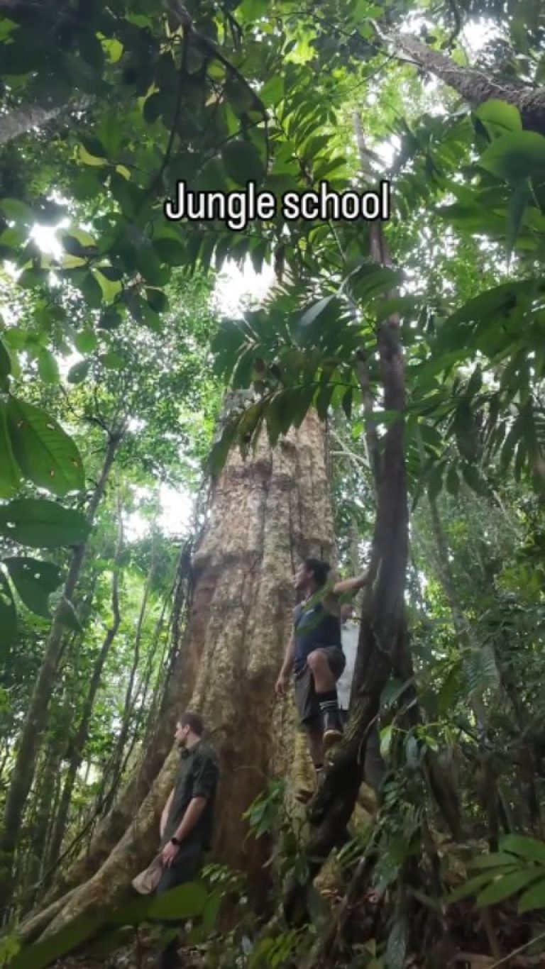 Instagram post from wild_globe_expeditions. This post is in position 17.