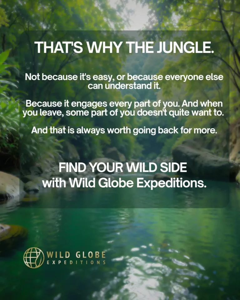Instagram post from wild_globe_expeditions. This post is in position 7.
