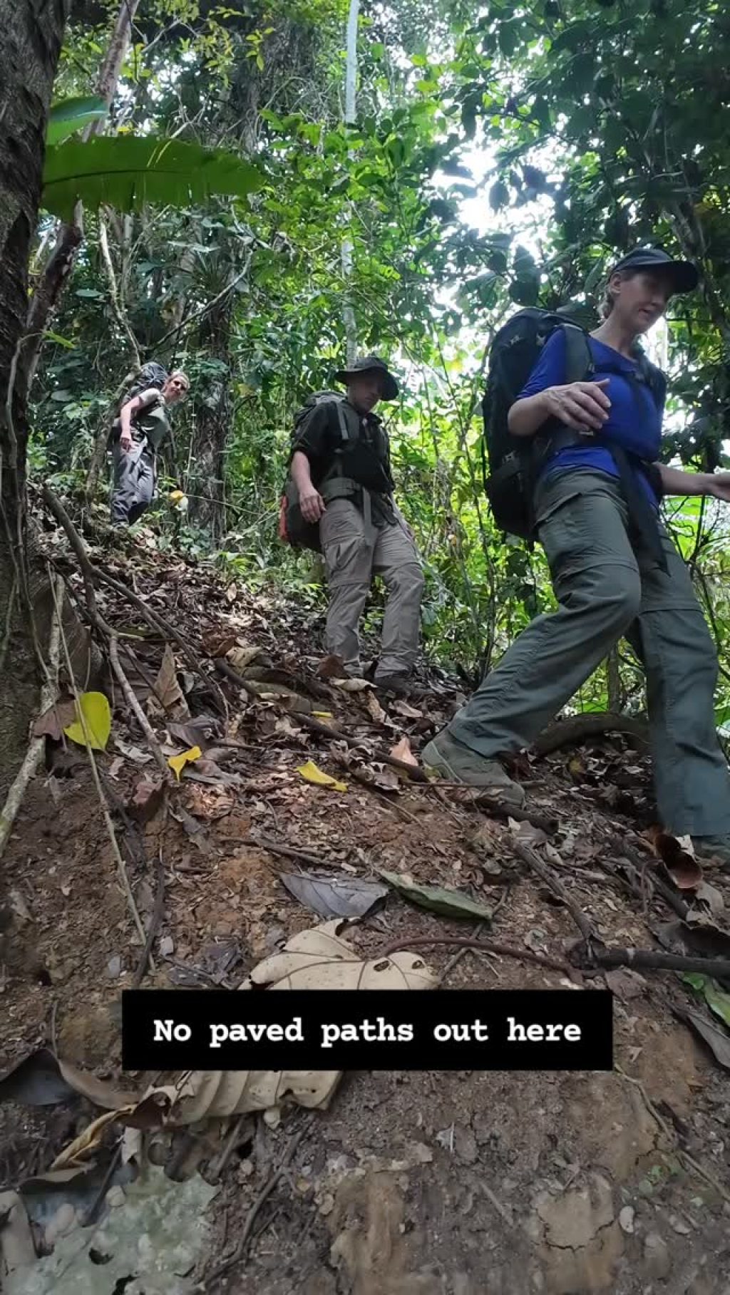 Instagram post from wild_globe_expeditions. This post is in position 0.