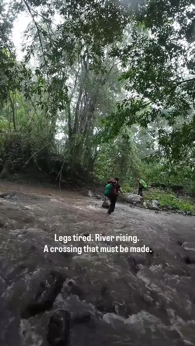 Instagram post from wild_globe_expeditions. This post is in position 0.