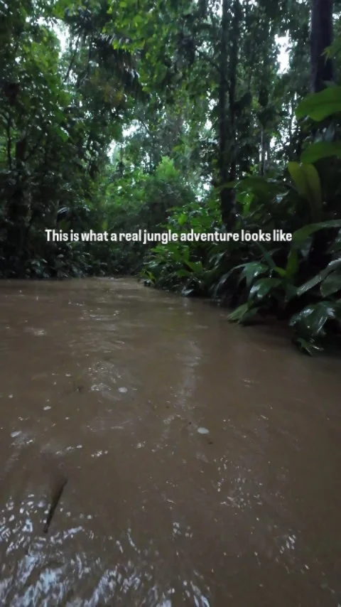 Instagram post from wild_globe_expeditions. This post is in position 0.