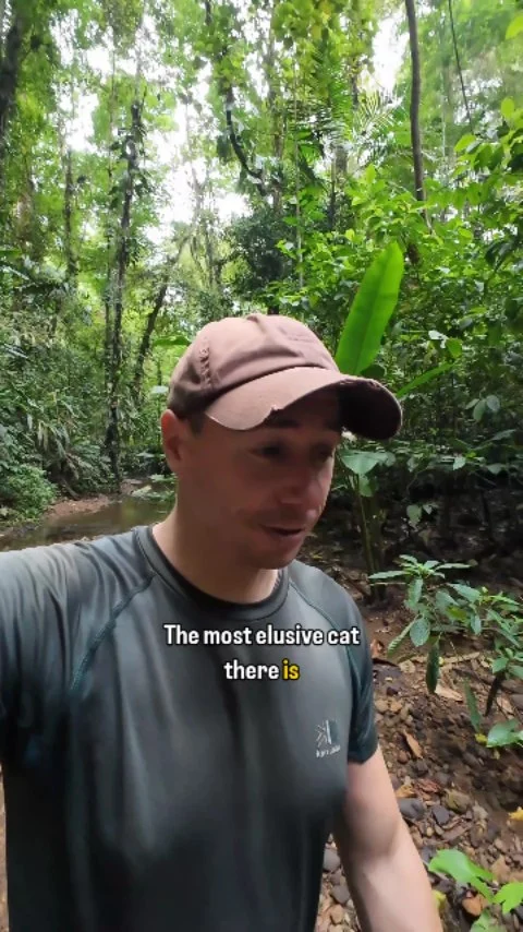 Instagram post from wild_globe_expeditions. This post is in position 0.