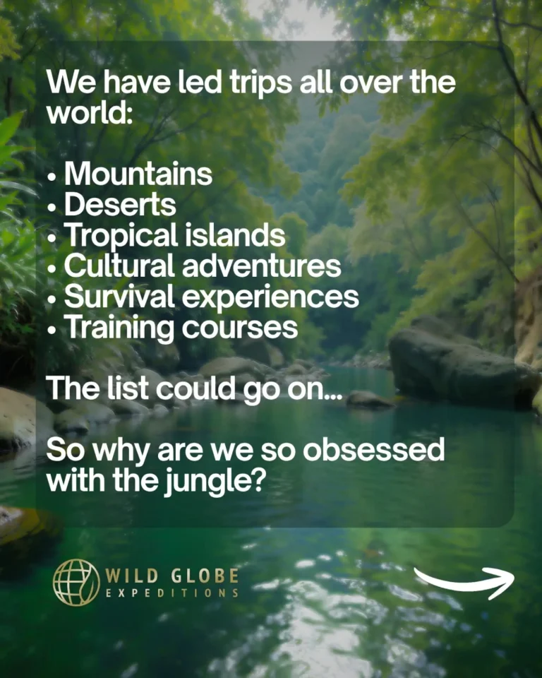 Instagram post from wild_globe_expeditions. This post is in position 1.