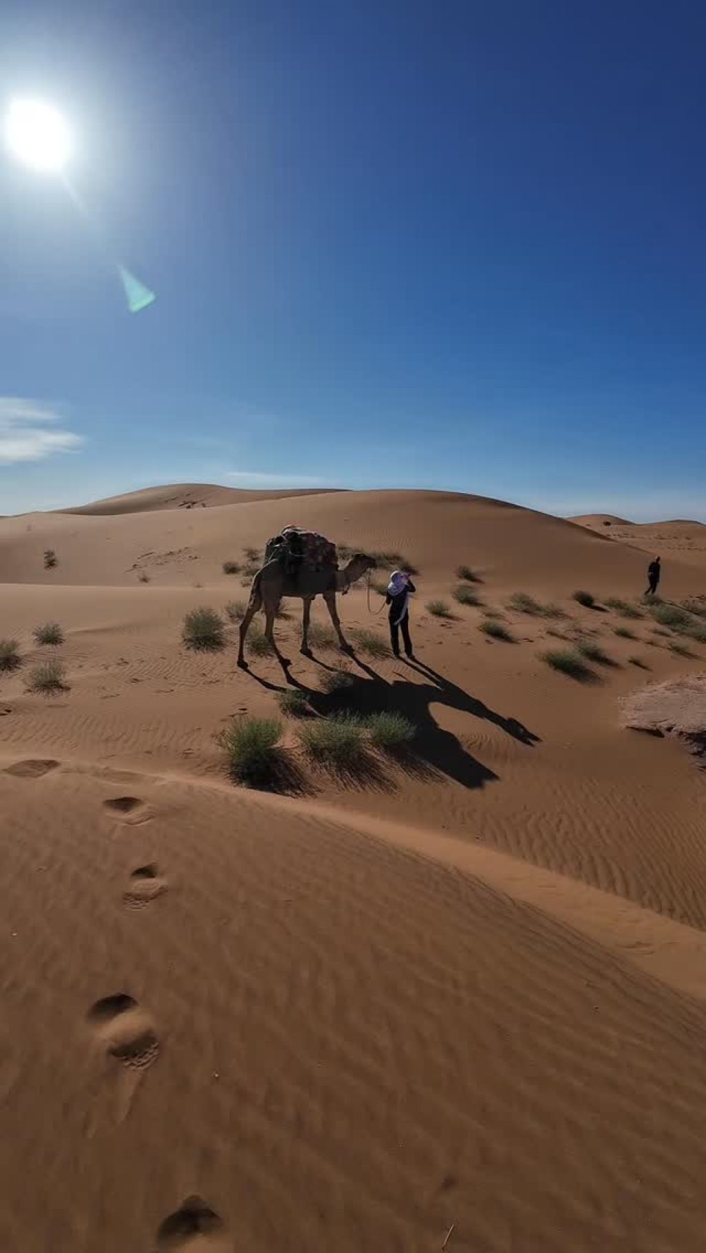 Instagram post from wild_globe_expeditions. This post is in position 5.