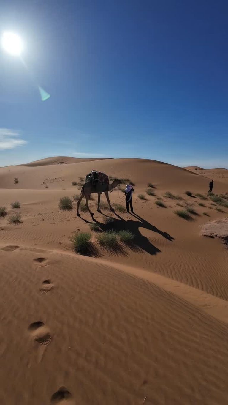 Instagram post from wild_globe_expeditions. This post is in position 6.